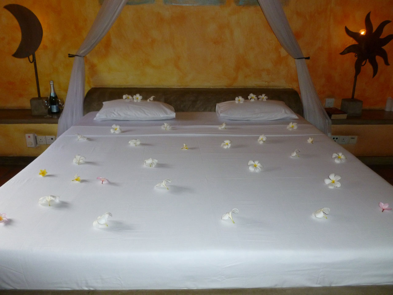 villa-araliya-rooms-flowers villa-araliya-rooms-flowers